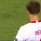 bielik gol z włochami