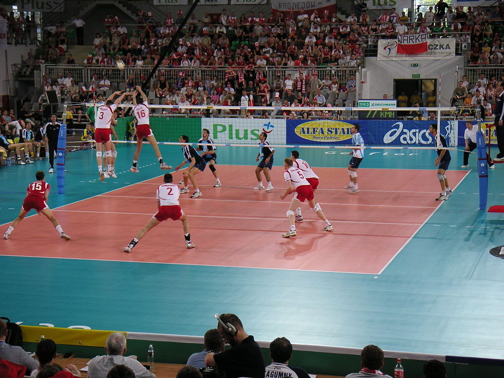 Siatkówka w 2005 roku